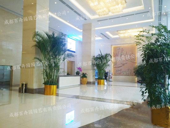 �Ƶ�ֲ�����U