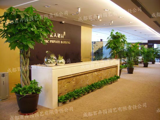 �y��ֲ�����U