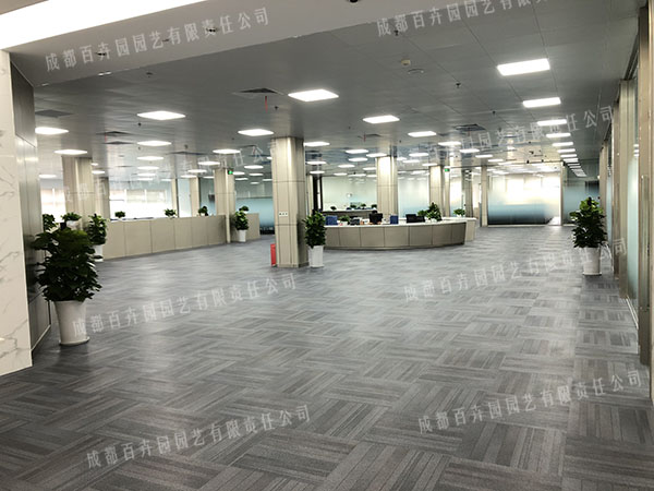 �C(j��)е�O(sh��)�乫˾�ɶ��k���ҾGֲ��[����