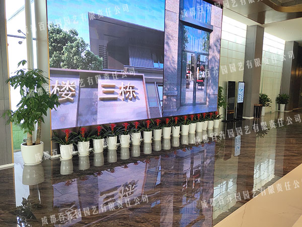 �FͶ���F(tu��n)�ۘǲ��ɶ�������[����