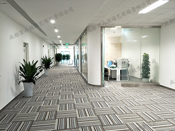 �k����ֲ�����U