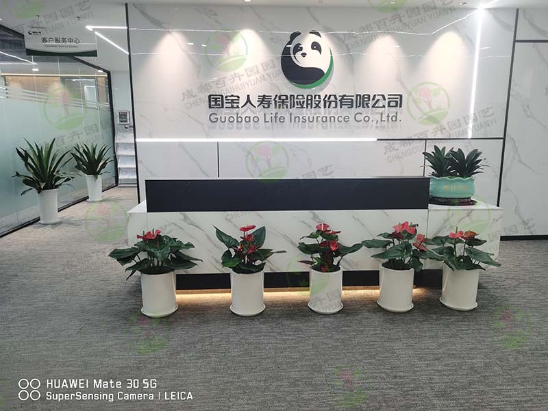 �ɶ��k����ֲ����[-������(sh��)���D