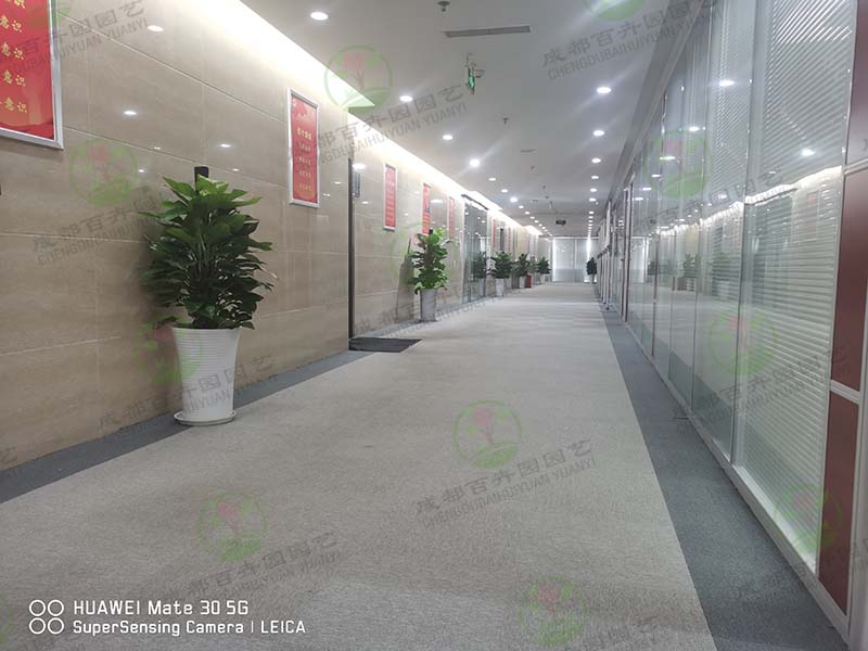 �ɶ��k����ֲ����[-������(sh��)���D