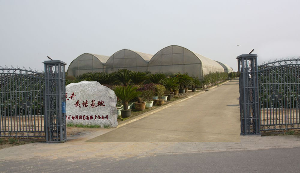 �ɶ��ٻ܈@�@ˇ����؟(z��)�ι�˾�����ṩ�ɶ�ֲ�����U���ɶ��Gֲ��[���ɶ��������U���ɶ��Gֲ���U���ɶ�ֲ����[���ɶ�������[���ɶ��������U���k����ֲ����⡢�҃�(n��i)�Gֲ���������@���^(gu��n)�O(sh��)Ӌ(j��)���@�־G���B(y��ng)�o(h��)����(w��)